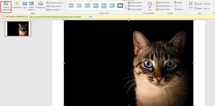 Как вытащить фон из презентации powerpoint Как вытащить фон из презентации powerpoint