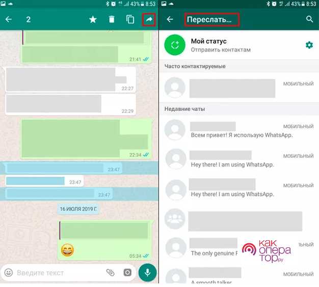 Как вытащить разговор по ватсапу на андроид Как вытащить разговор по ватсапу на андроид