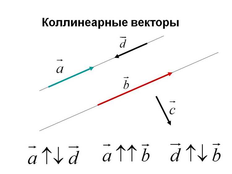 Проверка равенства направлений векторов