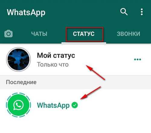 Шаг 6: Ограничения на добавление ссылок в статус WhatsApp
