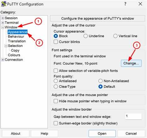 Как настроить параметры вставки текста в настройках PuTTY
