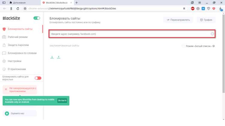 Создание пользовательских правил для скриптов с помощью NoScript