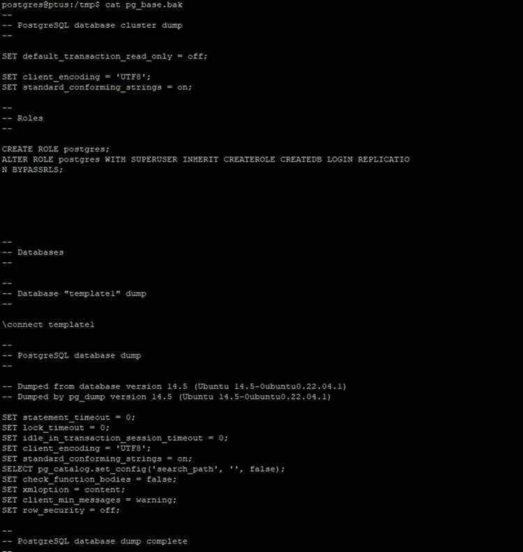 Как управлять пулом подключений PostgreSQL в среде SAS