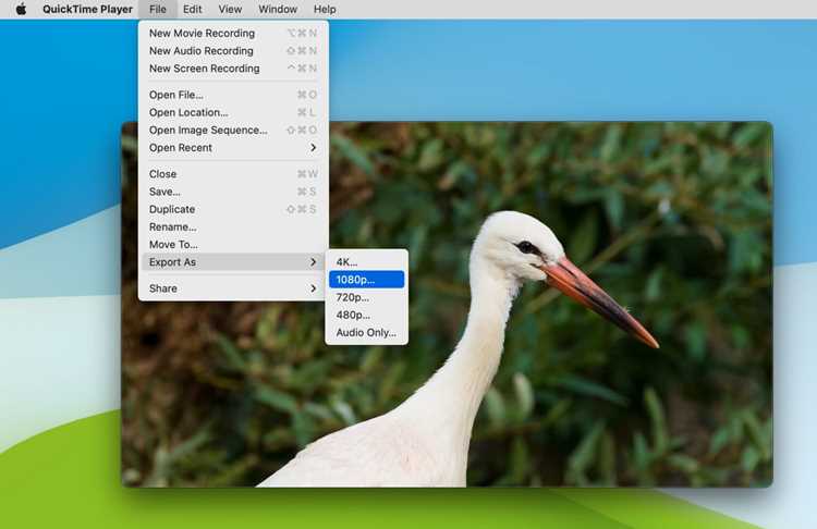 Поддержка аудиоформатов в QuickTime Player