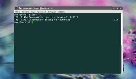 Просмотр пользователя процесса через top и htop
