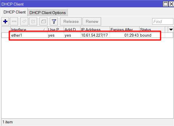 Определение IP через DHCP Server Lease