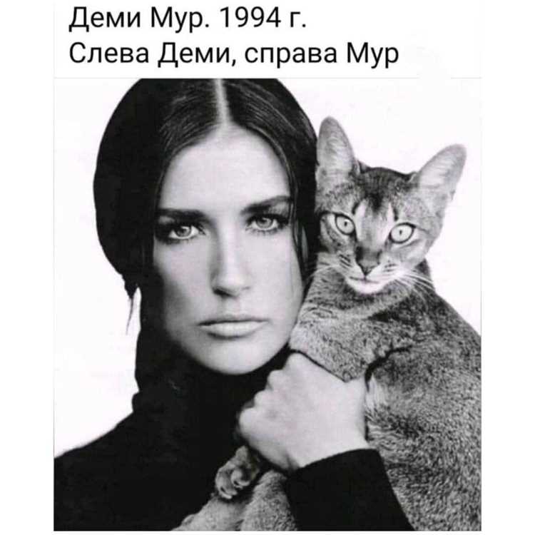 Обновления в библиотеке System.Text и JSON