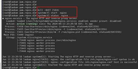 Ошибка 403 Forbidden при настройке прав доступа и root