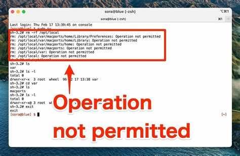 Изменение прав доступа через chmod и chown