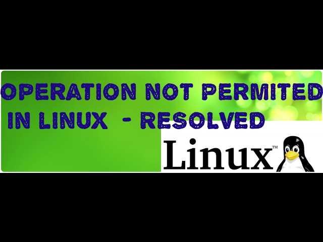 Operation not permitted linux что делать Operation not permitted linux что делать