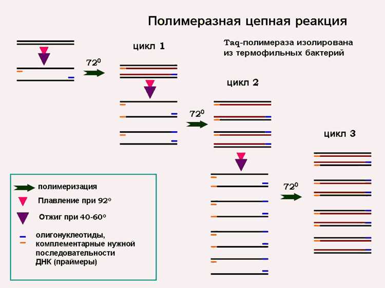 Обработка строк с помощью Pcrec функций