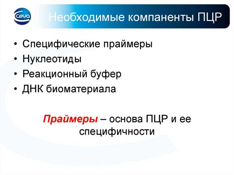 Применение Pcrec для поиска шаблонов