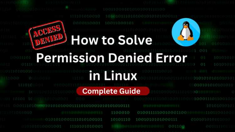 Permission denied termux что делать Permission denied termux что делать