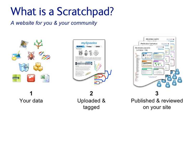 Определение scratch pad в программировании и инженерных задачах