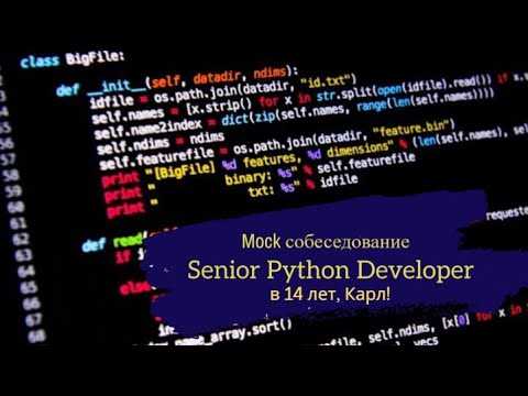 Как Senior Python Developer взаимодействует с командой и бизнесом