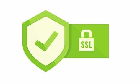 Какие данные шифруются при передаче по HTTPS-соединению