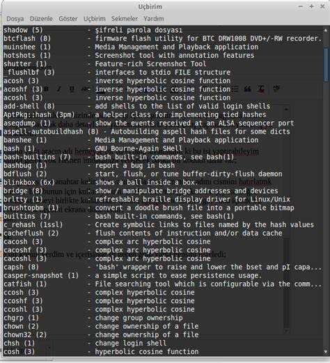 Разница между sudo bash и sudo -i: что выбрать