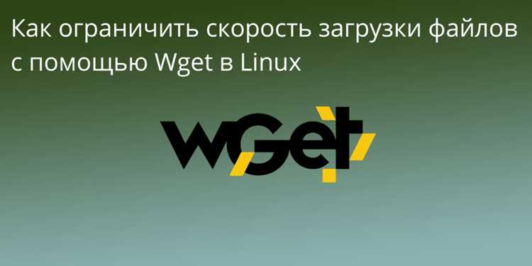 Что происходит при запуске Wget из терминала Linux