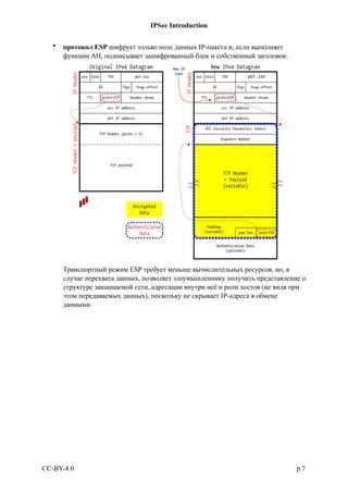 Что такое Xbl client ipsec issuing ca и где используется