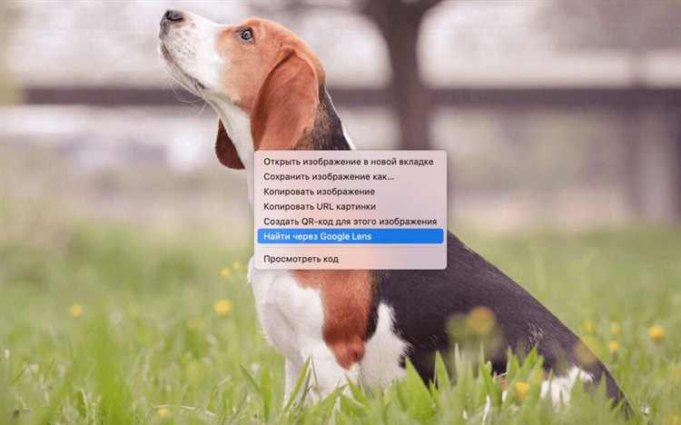 Как создать анимацию и видео с эффектами в Al Lens