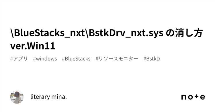 Пошаговое удаление bstkdrv_bgp.sys вручную через Windows