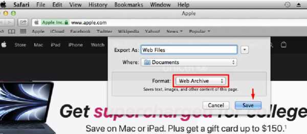 Использование браузера Google Chrome для просмотра содержимого WebArchive