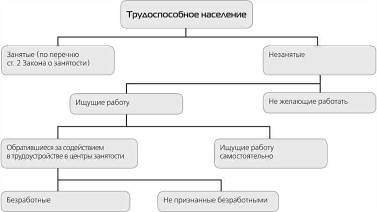 Роль изображений и фотографий в визуальной поддержке контента