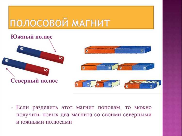 Особенности поведения тонких полосовых магнитов при разрезе