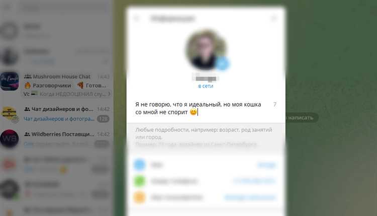 Что такое био в телеграмме Что такое био в телеграмме