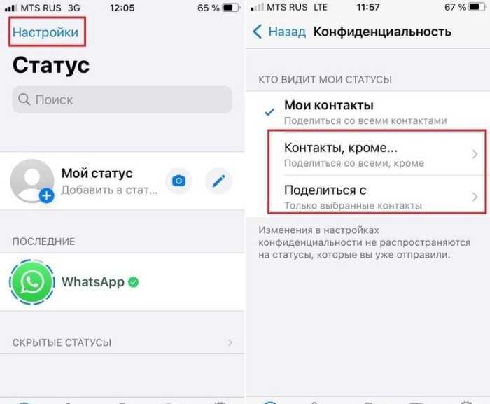 Сведения в WhatsApp: как настроить приватность и видимость