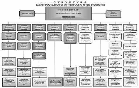 Что такое ИФНС и как она устроена