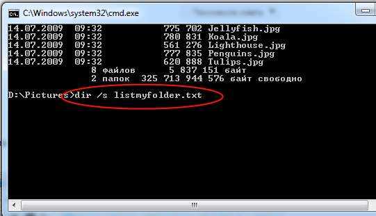 Пошаговое использование команды в Windows