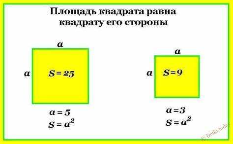 Какие именно числа используются для вычисления площади прямоугольника
