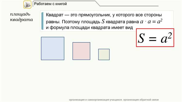 Сколько чисел необходимо ввести для вычисления площади прямоугольника Сколько чисел необходимо ввести для вычисления площади прямоугольника