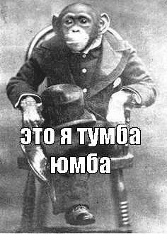 Тумба юмба что это означает Тумба юмба что это означает