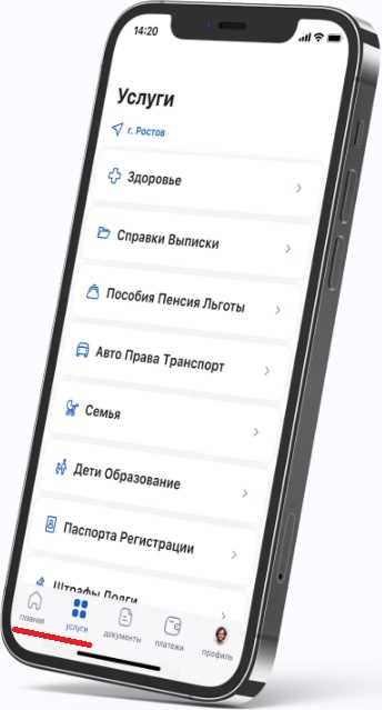 Как открыть файл через приложение Госуслуги на iPhone