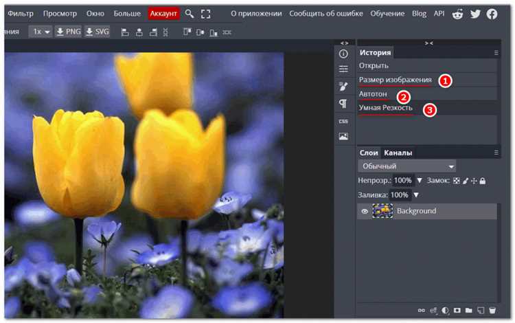 Как отменить действие в фотошопе Как отменить действие в фотошопе