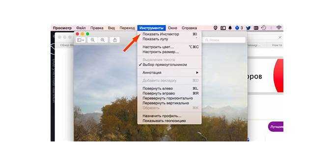 Как настроить формат страницы, ориентацию и масштаб документа