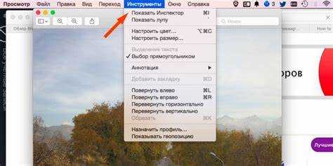Как выбрать принтер и источник подачи бумаги перед печатью