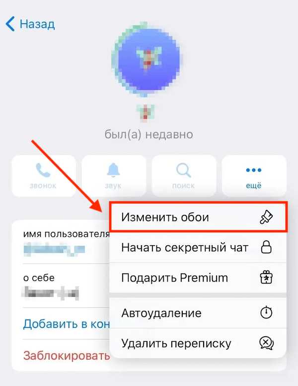 Как подписать участника чата в телеграмме Как подписать участника чата в телеграмме