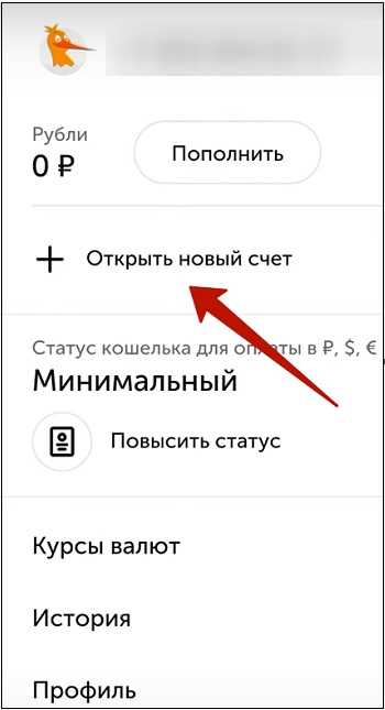 Как поменять паспортные данные в киви кошельке