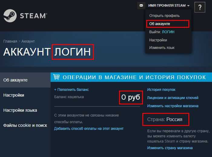 Пошаговое открытие истории запросов через веб-браузер