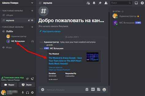Как посмотреть вложения в дискорде
