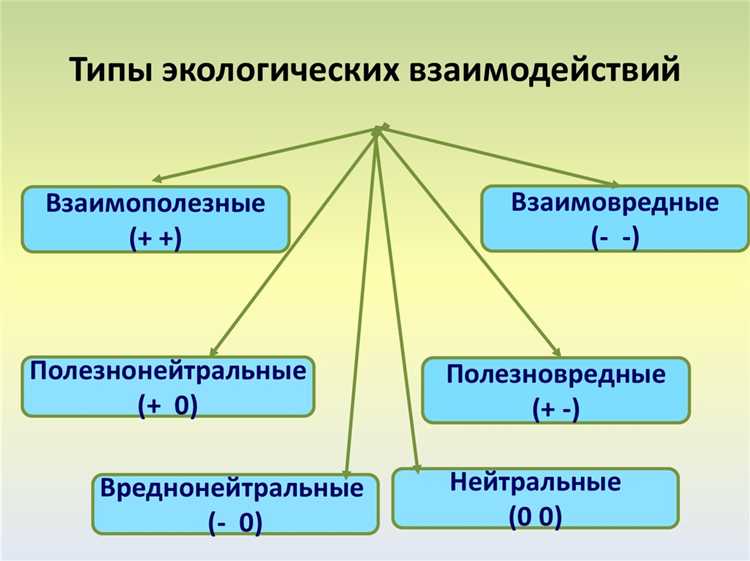 Использование чисел в температурных измерениях: положительные против отрицательных
