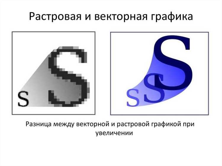 Какой программный продукт относится к векторной графике