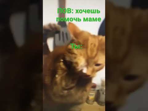 Разбор ключевых терминов и символов в задаче