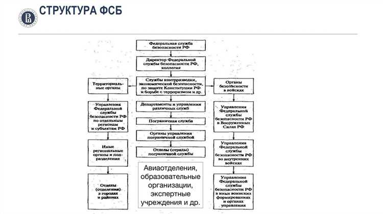Личный состав: ранги, категории и распределение по уровням
