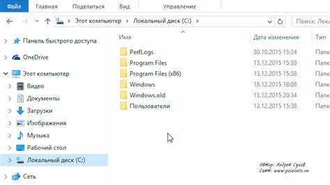 Папка gs в program files что это