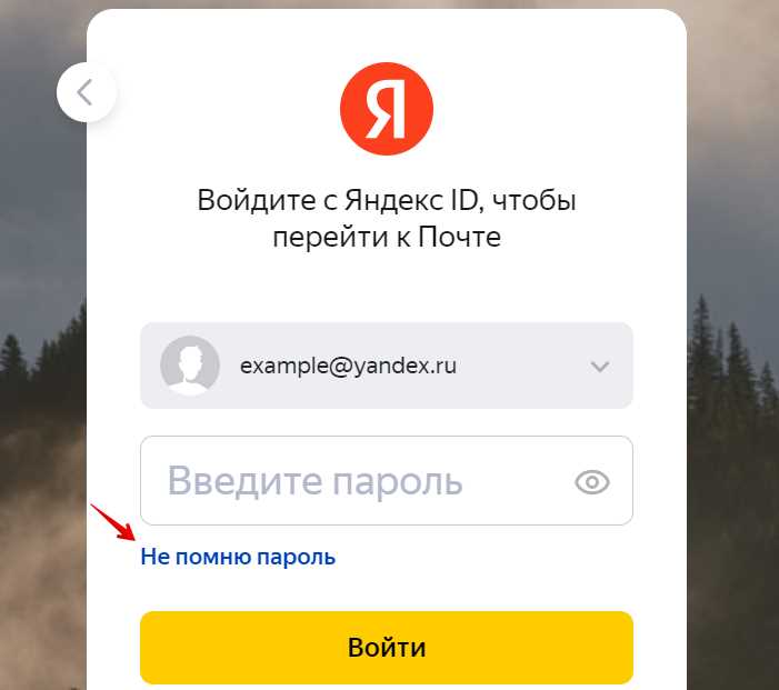 Как экспортировать пароли из Яндекс.Браузера
