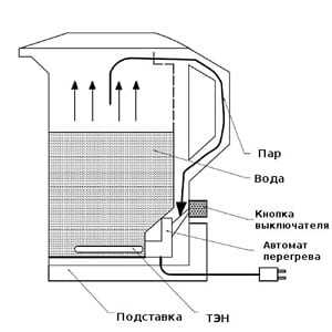 От чего зависит громкость свиста: форма носика и конструкция свистка